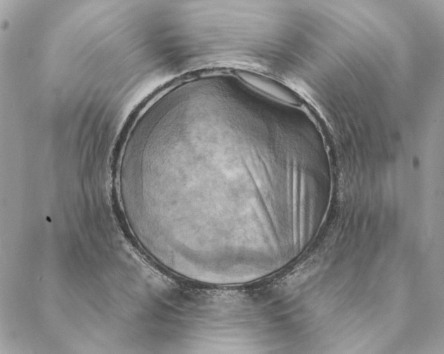 X0000088581024200706151706