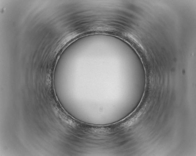 X0000088581025200706151706