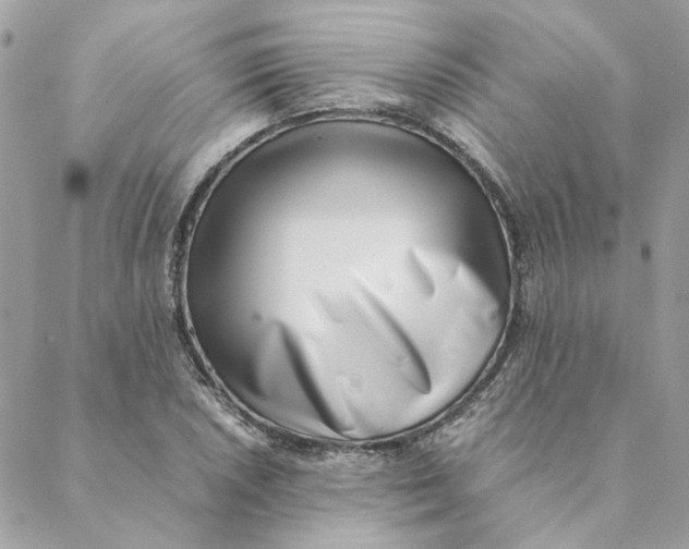 X0000088581026200706151706