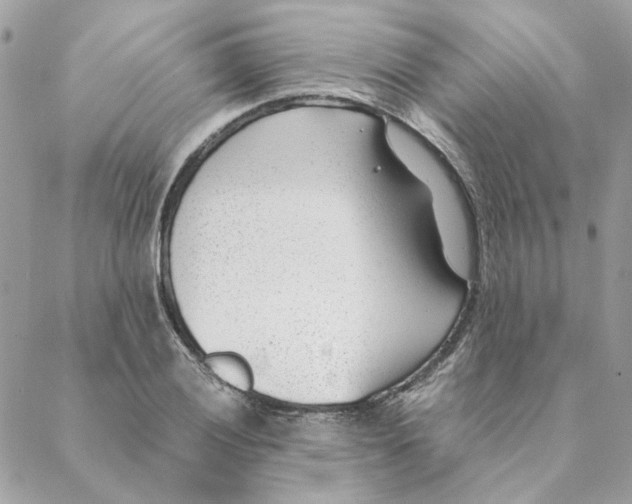 X0000088581028200706151706