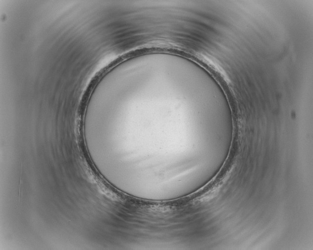 X0000088581029200706151706