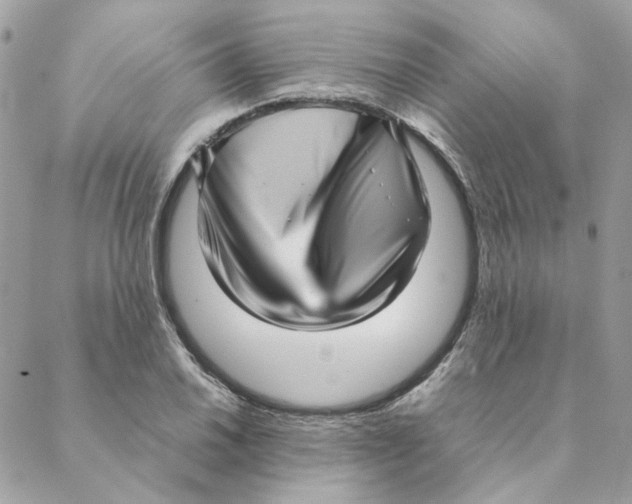 X0000088581030200706151706