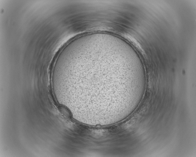 X0000088581031200706151706