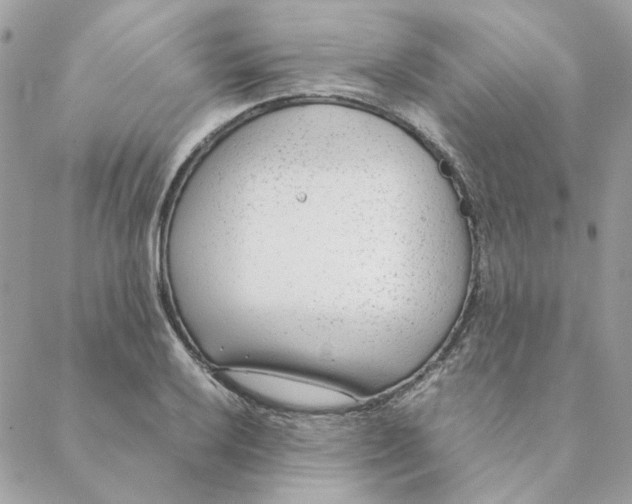 X0000088581032200706151706