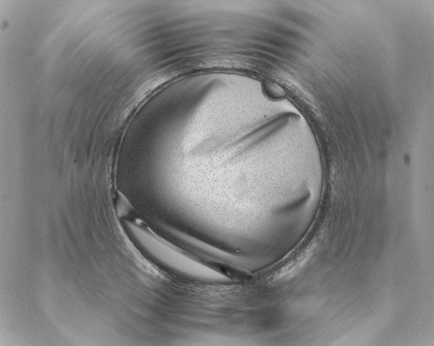 X0000088581033200706151706