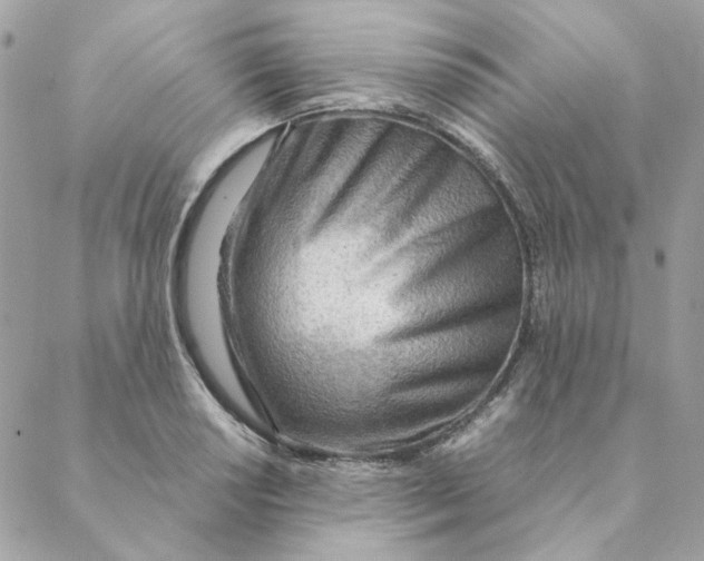 X0000088581034200706151706