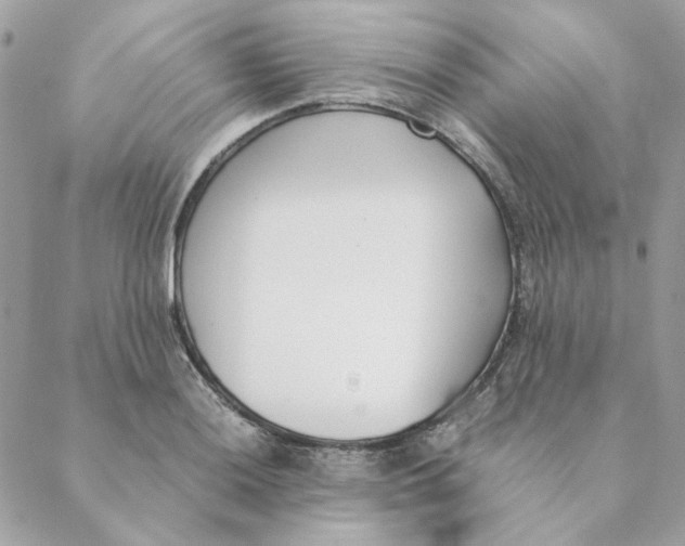 X0000088581036200706151706