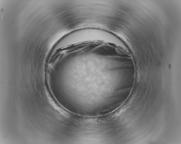 X0000088581038200706151706