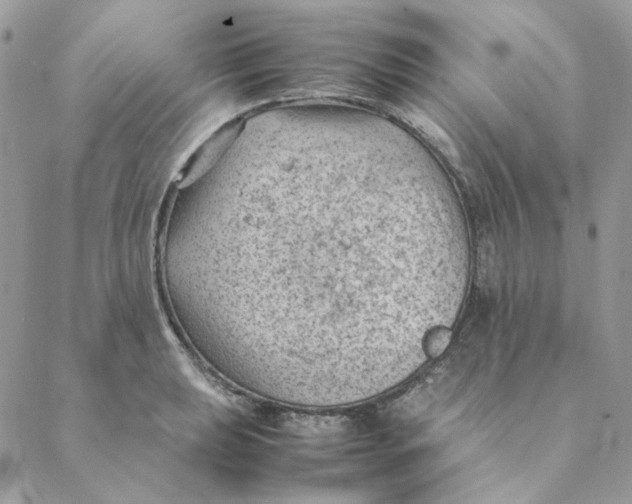 X0000088581039200706151706