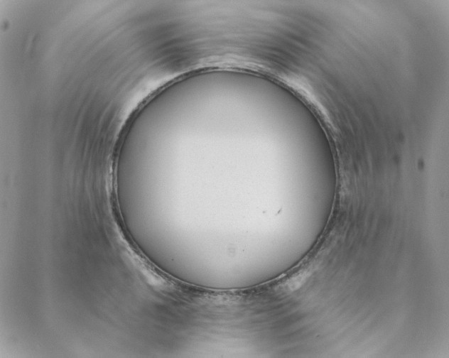 X0000088581040200706151706