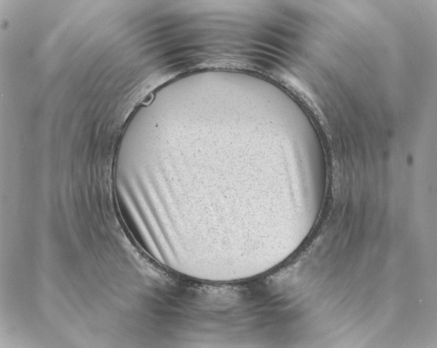 X0000088581041200706151706