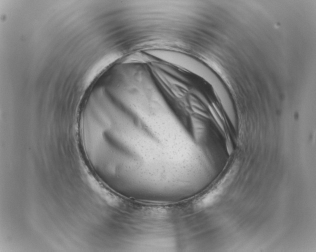 X0000088581042200706151706