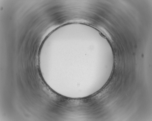 X0000088581044200706151706