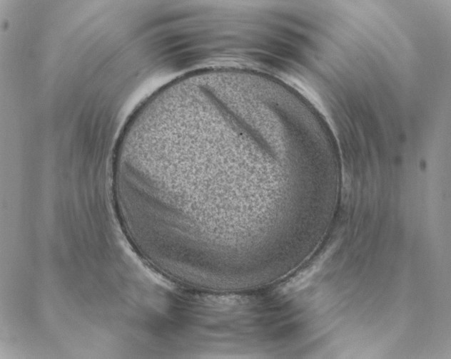 X0000088581045200706151706