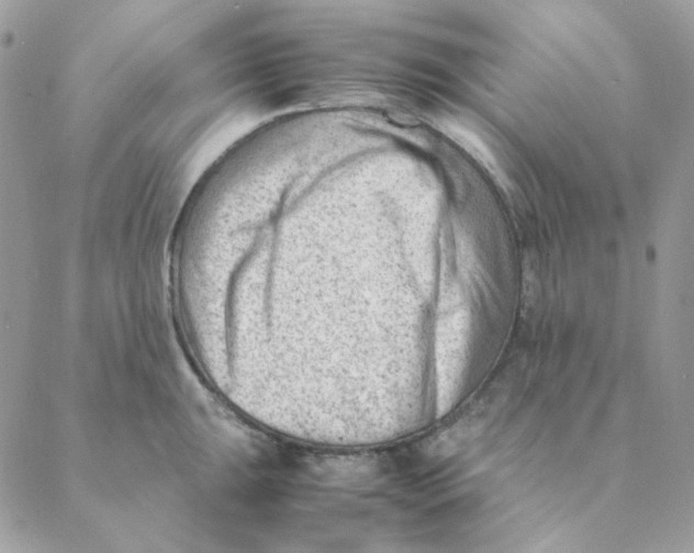 X0000088581047200706151706