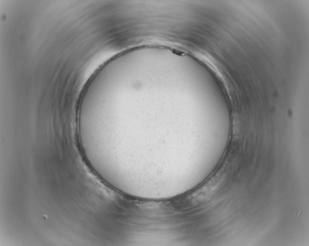 X0000088581048200706151706