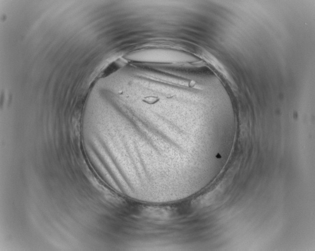 X0000088581049200706151706