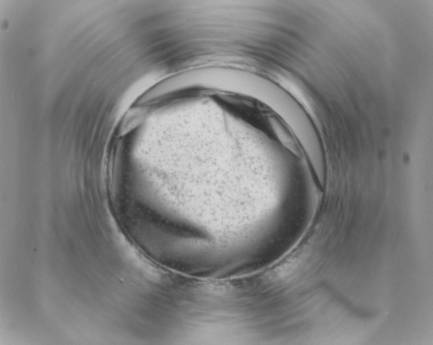 X0000088581050200706151706