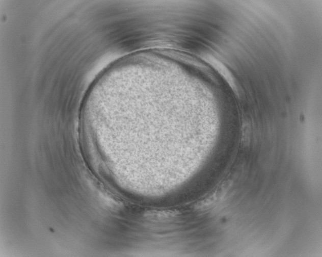 X0000088581051200706151706