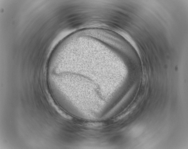 X0000088581053200706151706