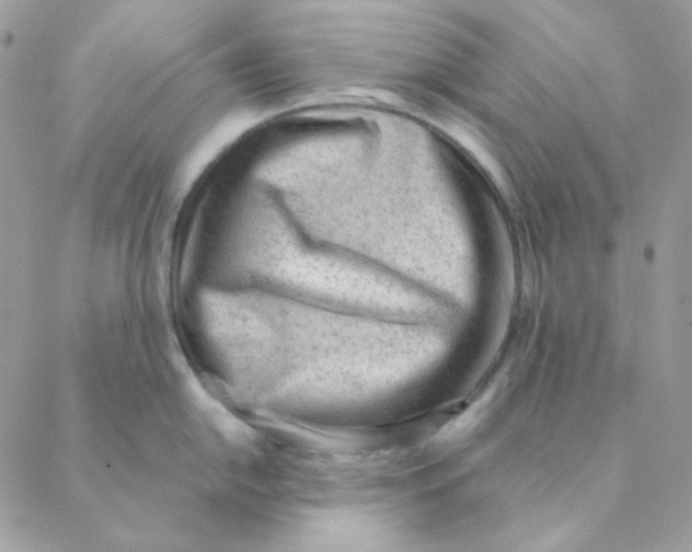 X0000088581054200706151706