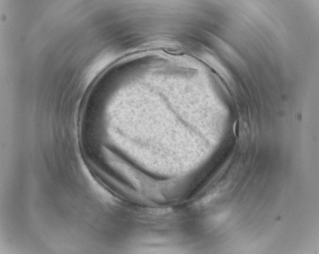 X0000088581055200706151707