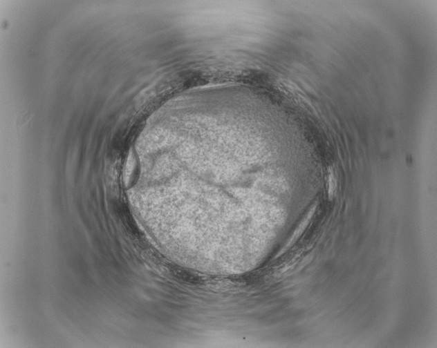 X0000088581059200706151706