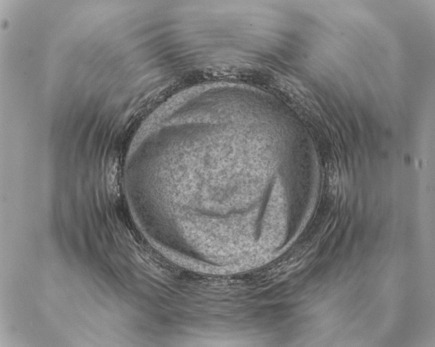 X0000088581060200706151706