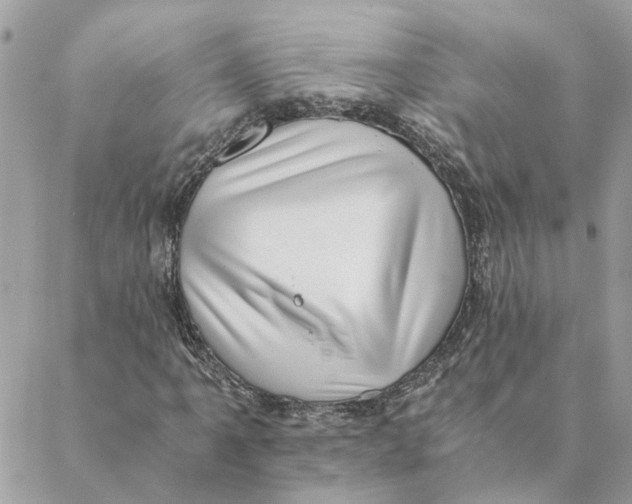 X0000088581061200706151706