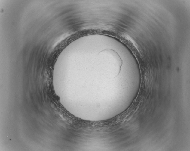 X0000088581064200706151706