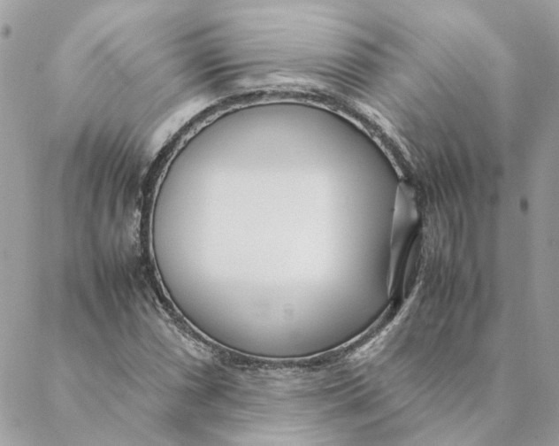 X0000088581066200706151706