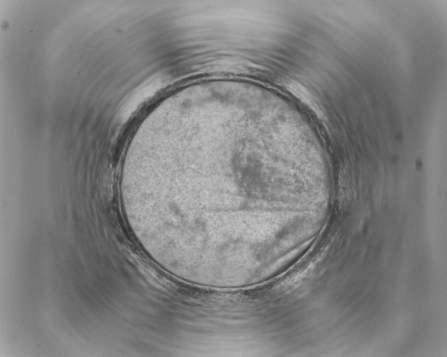 X0000088581067200706151706