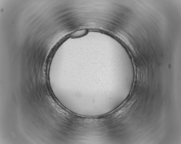 X0000088581068200706151706