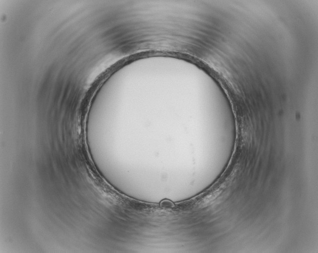 X0000088581070200706151706