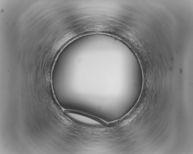 X0000088581073200706151705