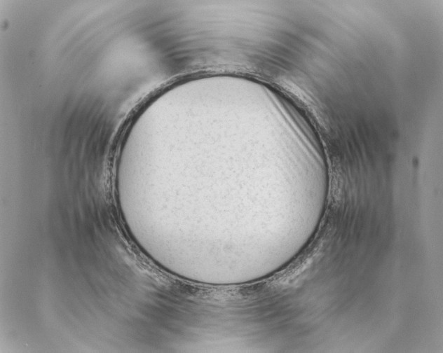 X0000088581074200706151705