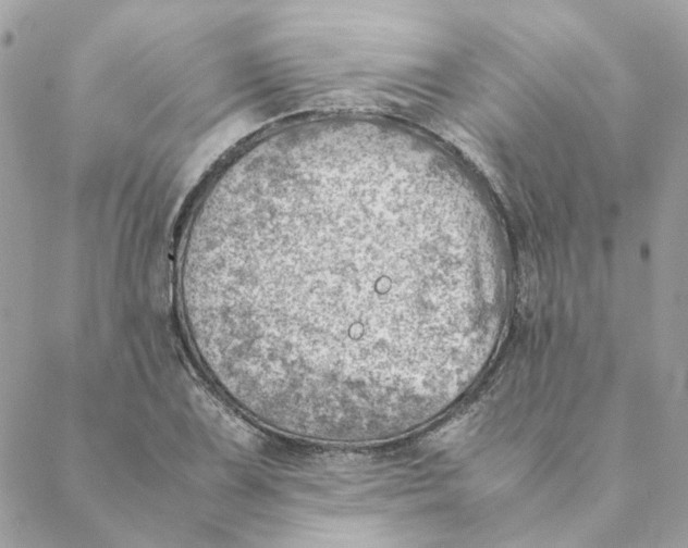 X0000088581075200706151705