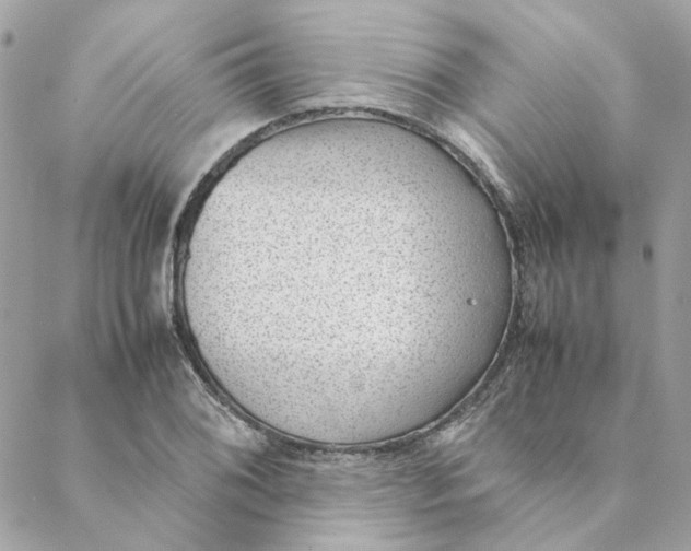 X0000088581076200706151705