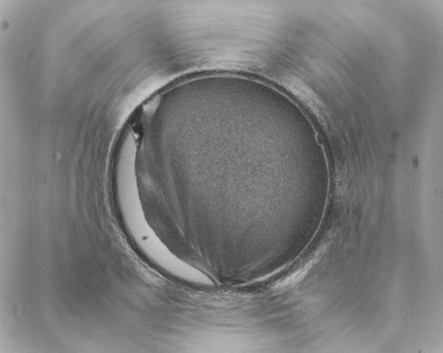 X0000088581077200706151705