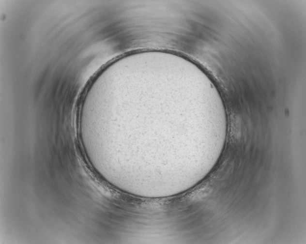 X0000088581078200706151705