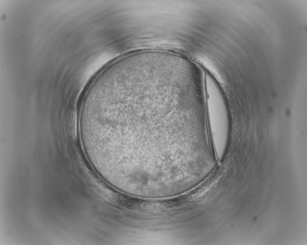 X0000088581079200706151705