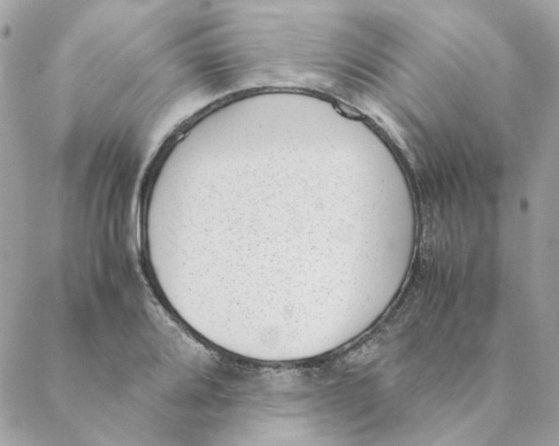 X0000088581080200706151705