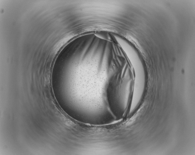 X0000088581081200706151705