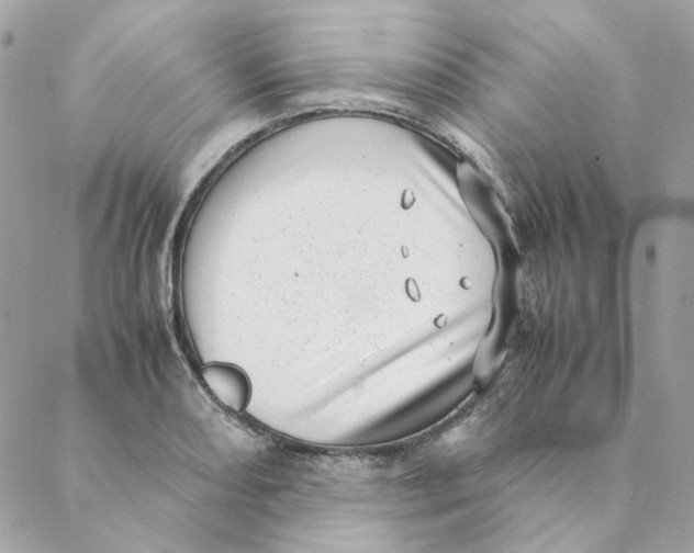 X0000088581082200706151705