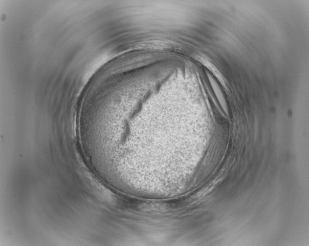 X0000088581083200706151705