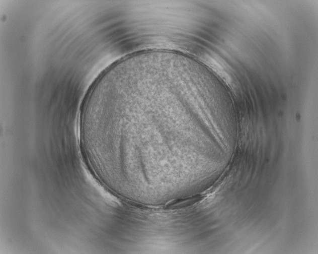 X0000088581084200706151705