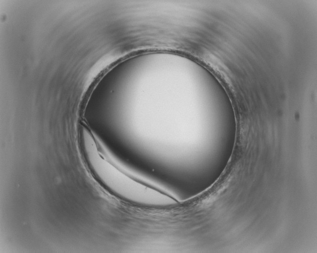 X0000088581085200706151705