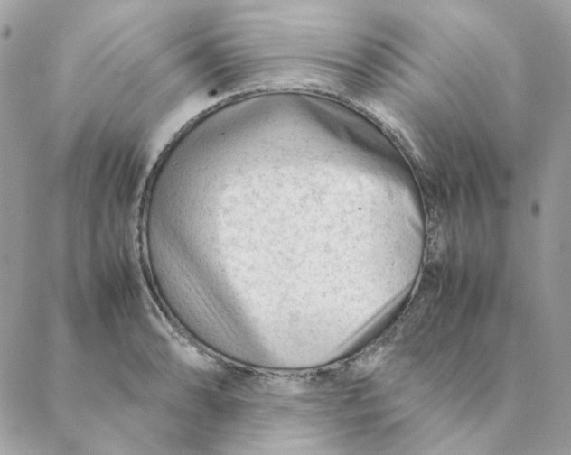 X0000088581086200706151705