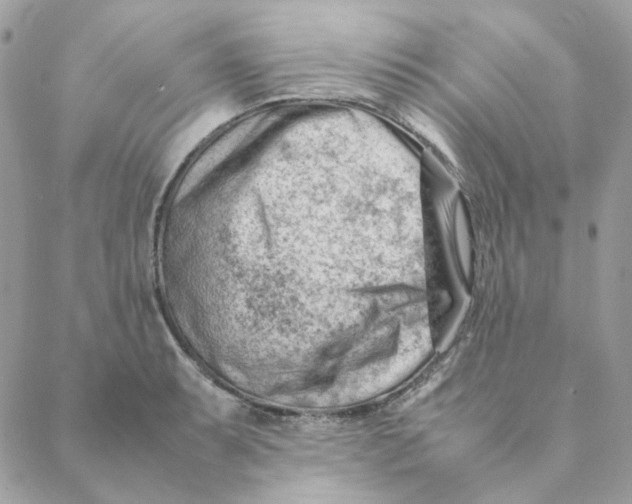 X0000088581087200706151705