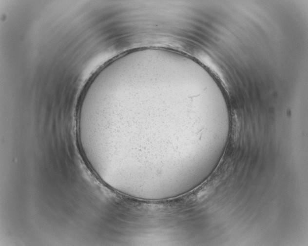 X0000088581088200706151705